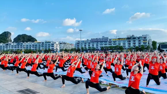 Yoga Giảm Đau Vai Gáy, Lưng, Cổ – Giải Pháp Tự Nhiên Cho Người Hiện Đại